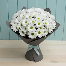 Букет цветов из:  Хризантемы #REPLACE_PRED# Майском Республики Адыгея