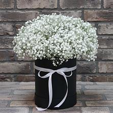 Цветочная композиция из Гипсофила в шляпной коробке в Майском Республики Адыгея